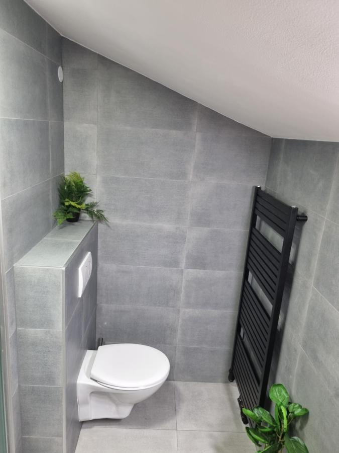 Penzion U Nasich Mladé Buky Exterior foto
